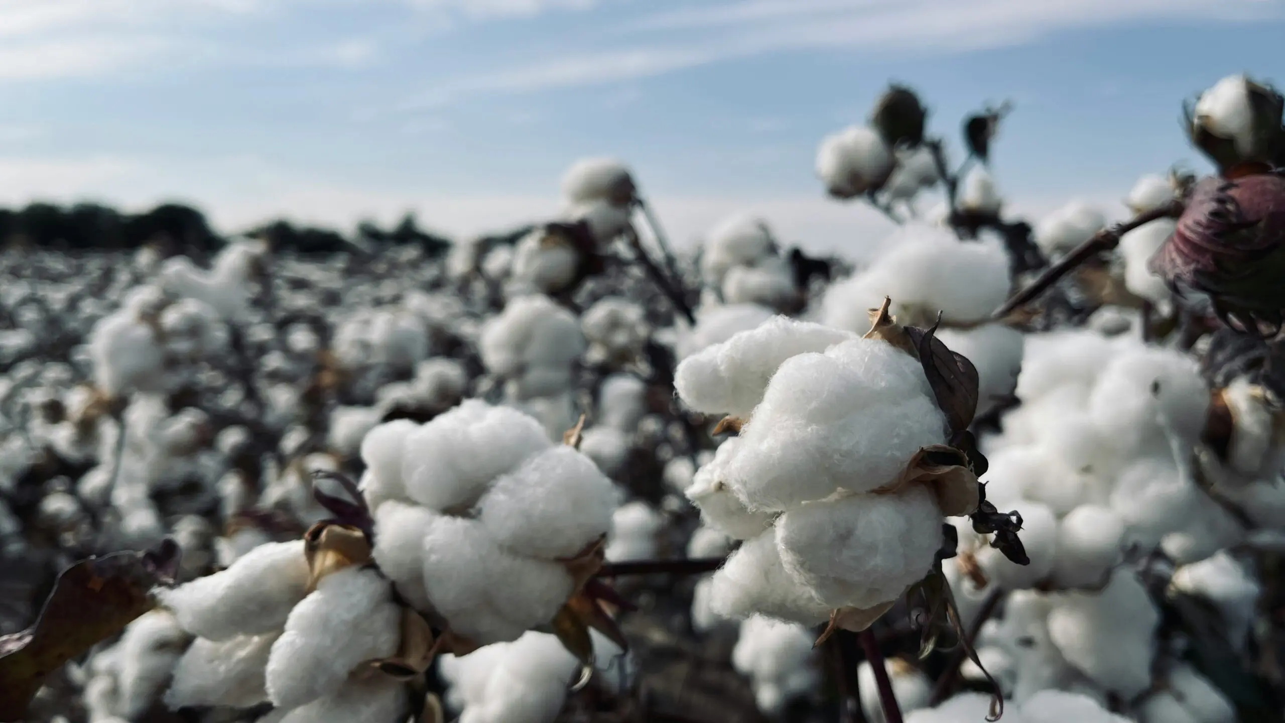 Sustainable textile production